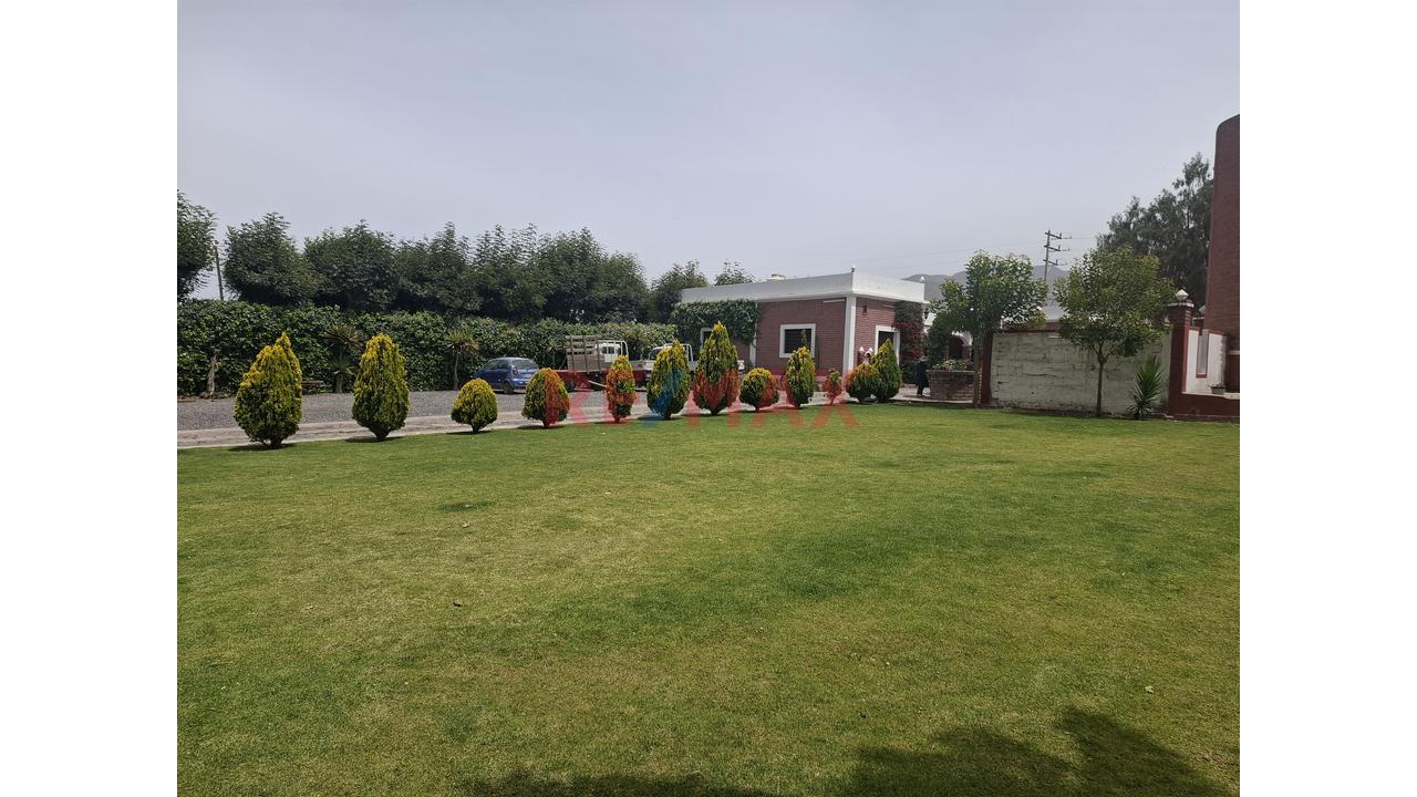 Vendo Lindo Y Amplio Fundo Ubicado En Cerro Colorado – Arequipa - 8