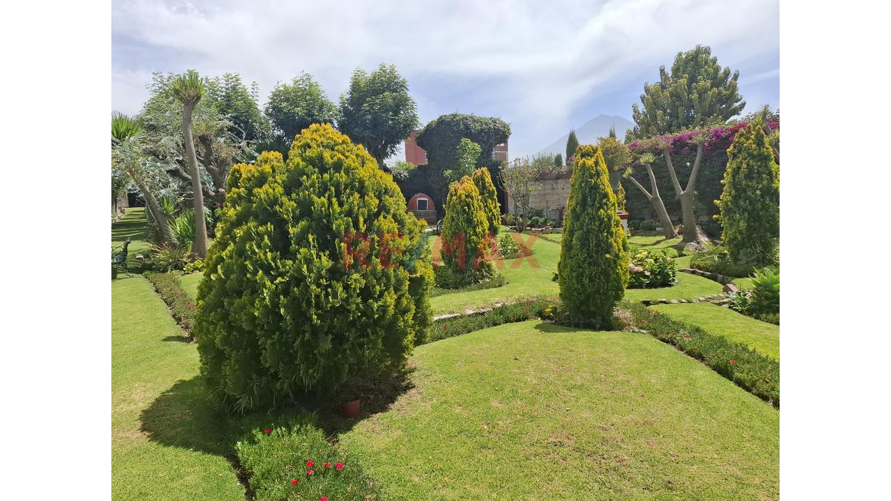 Vendo Lindo Y Amplio Fundo Ubicado En Cerro Colorado – Arequipa - 7