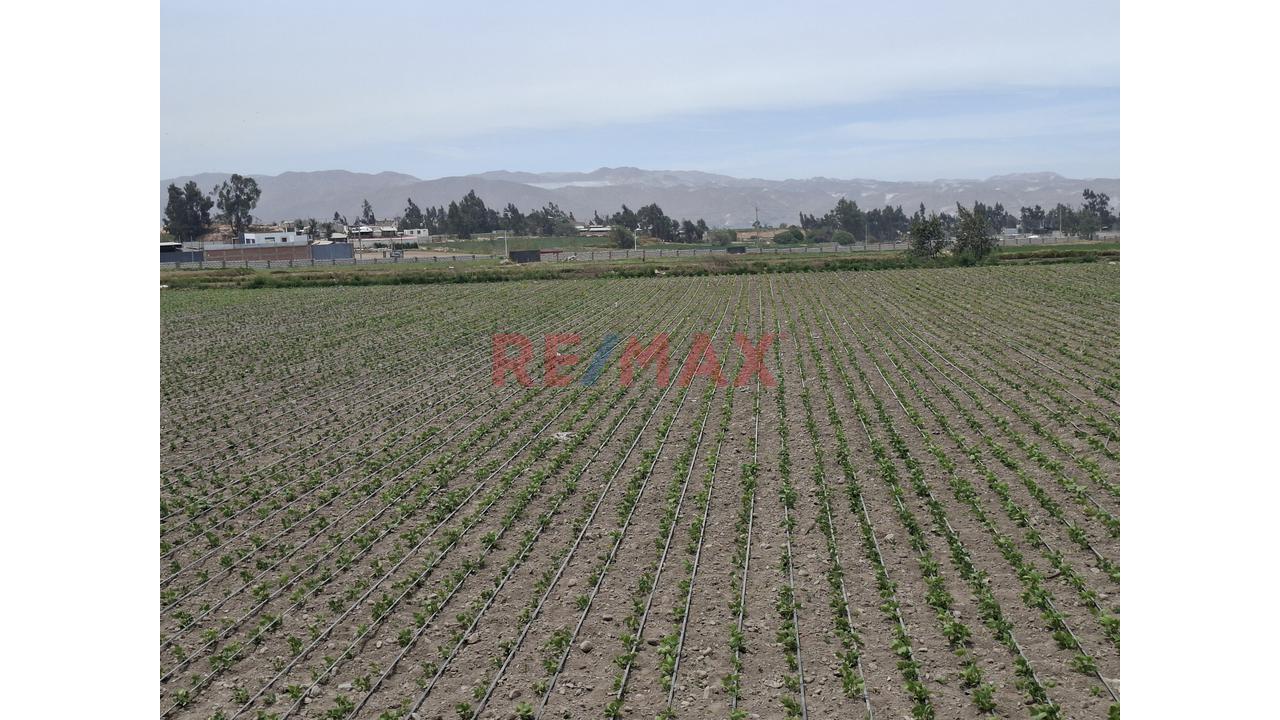 Vendo Lindo Y Amplio Fundo Ubicado En Cerro Colorado – Arequipa - 11