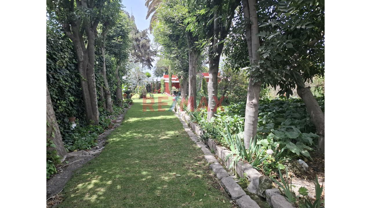 Vendo Lindo Y Amplio Fundo Ubicado En Cerro Colorado – Arequipa - 6
