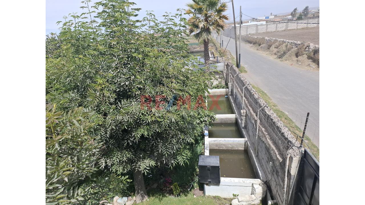 Vendo Lindo Y Amplio Fundo Ubicado En Cerro Colorado – Arequipa - 4