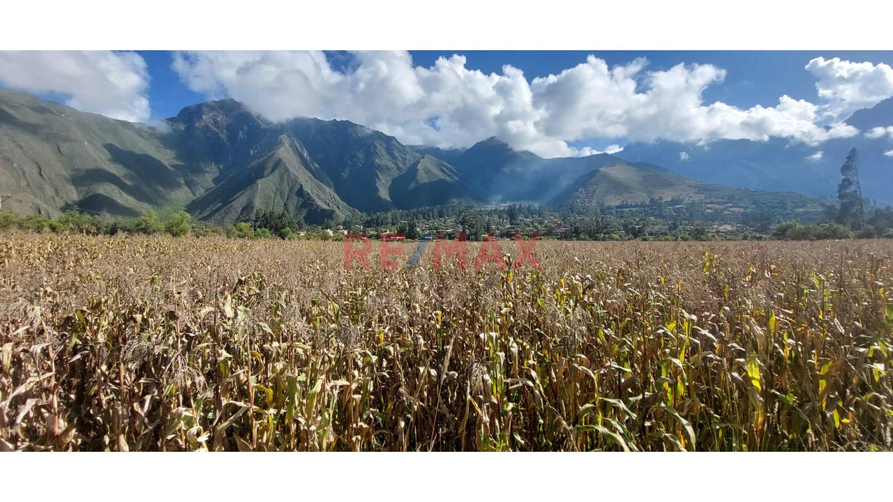 Terreno En Venta - Urquillos - 5