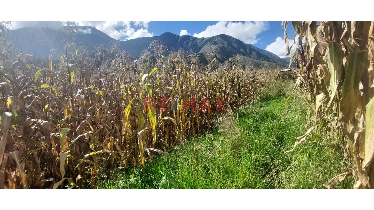 Terreno En Venta - Urquillos - 9