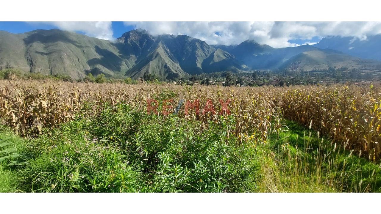 Terreno En Venta - Urquillos