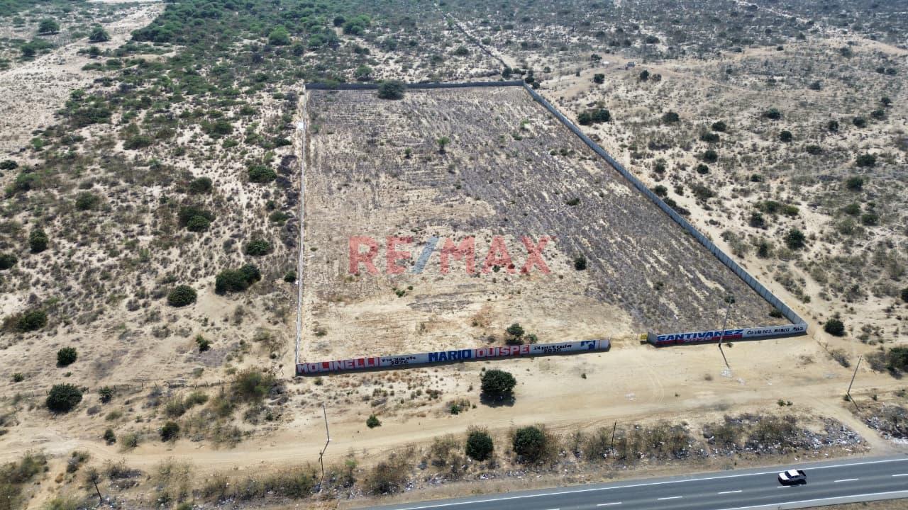🏗️ ¡Oportunidad De Inversión!   📍 3 Hectáreas De Terreno – Filo De Pista  Piura- Sullana — foto 5
