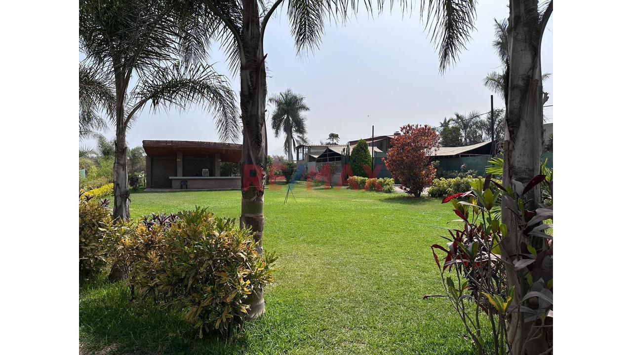 Vendo Casa De Campo + Centro De Eventos Terreno De 4944.42 M² En Pachacamac - 21