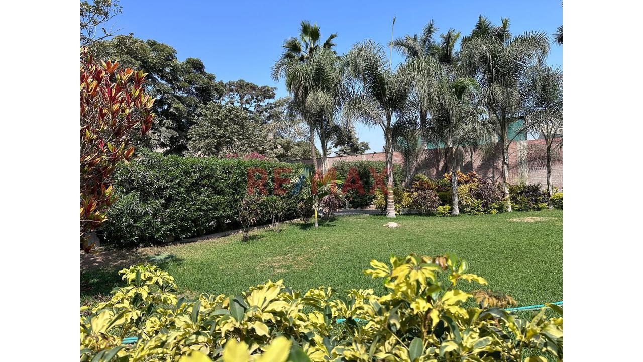 Vendo Casa De Campo + Centro De Eventos Terreno De 4944.42 M² En Pachacamac - 11