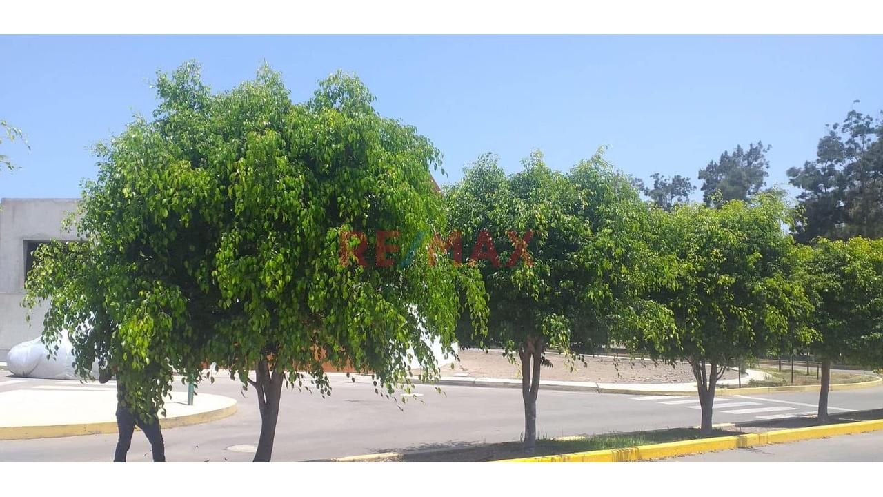 Terreno de 180 m² en Santa Cruz de Flores — foto 5