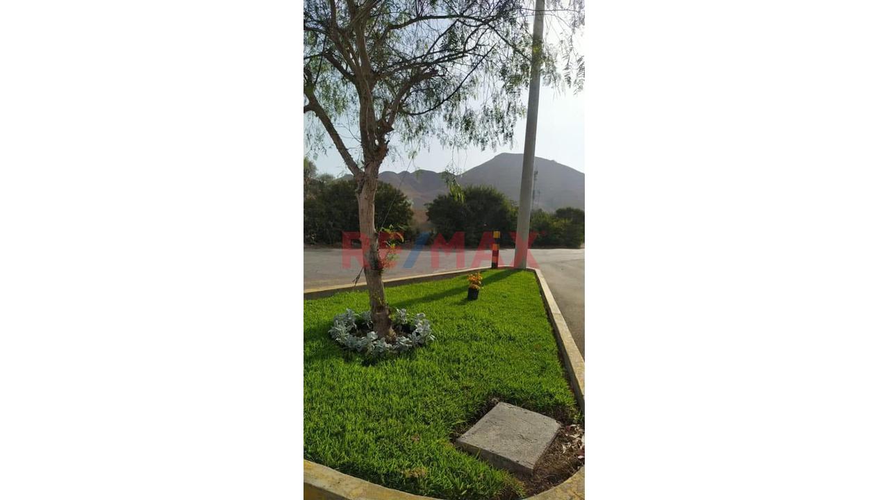 Venta Terreno - Condominio El Polo — foto 7