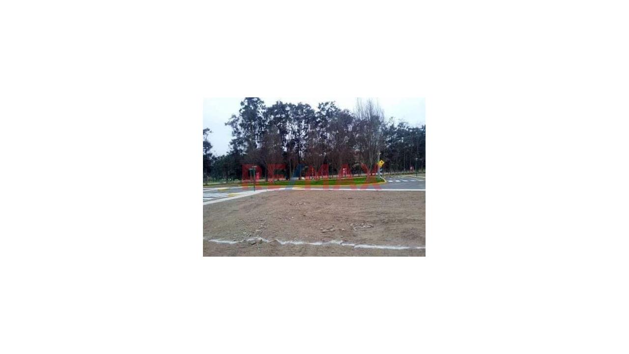 Terreno de 180 m² en Santa Cruz de Flores — foto 3