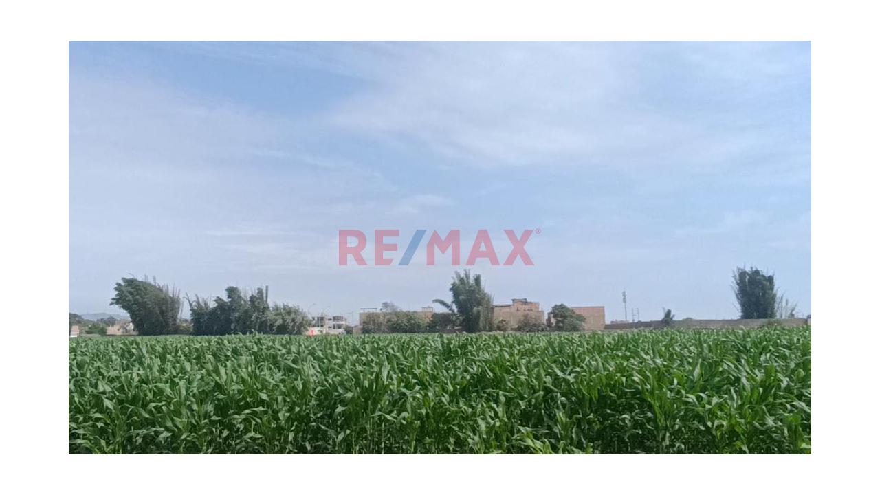 Venta De Terreno Para Inversionistas En Barranca - 4
