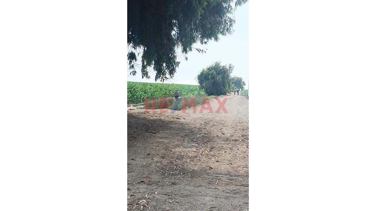 Venta De Terreno Para Inversionistas En Barranca - 7