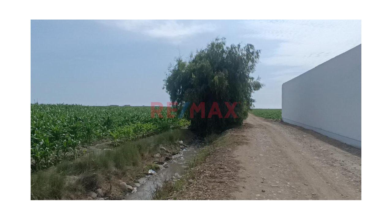 Venta De Terreno Para Inversionistas En Barranca - 9