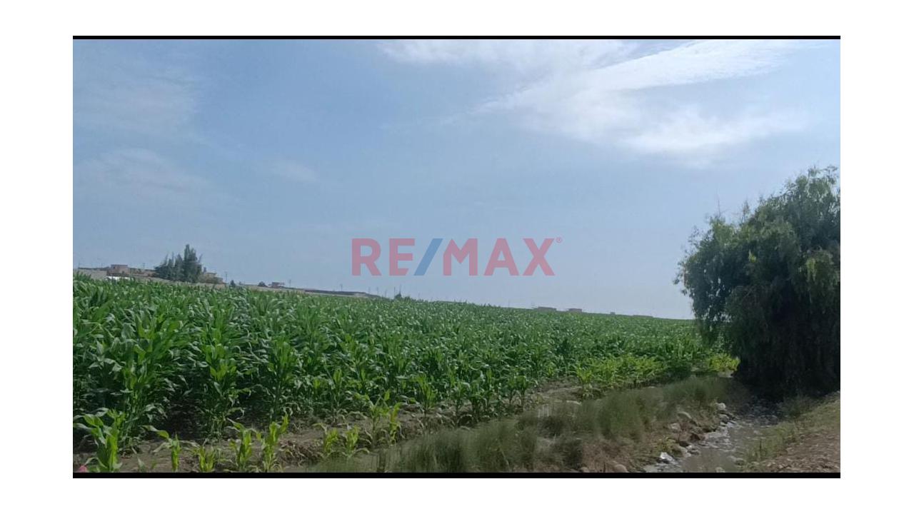 Venta De Terreno Para Inversionistas En Barranca - 8