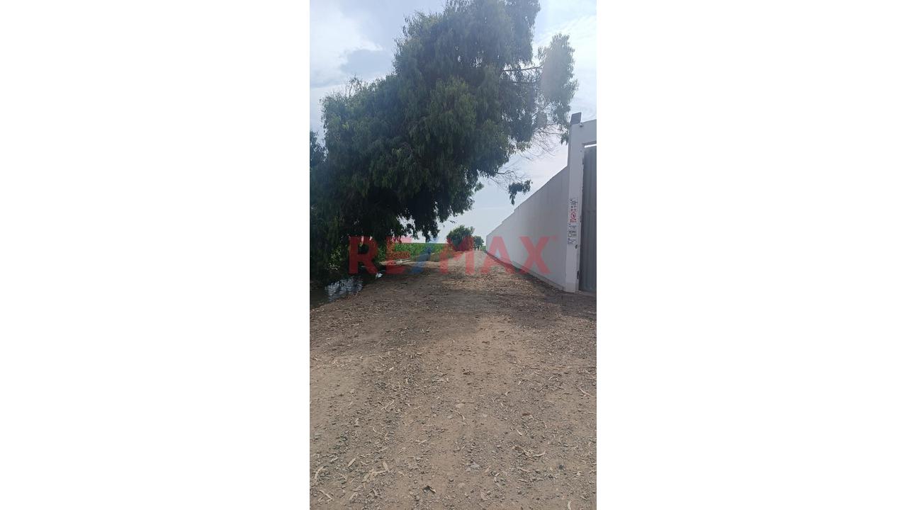 Venta De Terreno Para Inversionistas En Barranca - 12