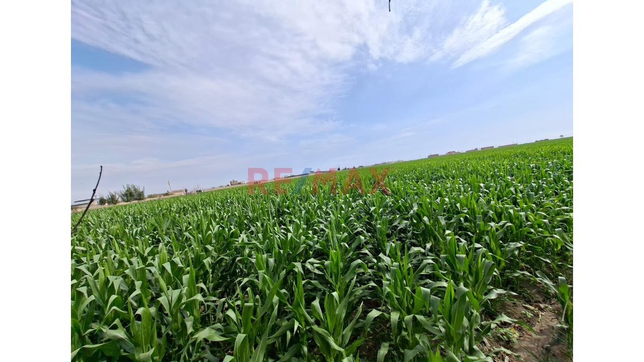 Venta De Terreno Para Inversionistas En Barranca - 6