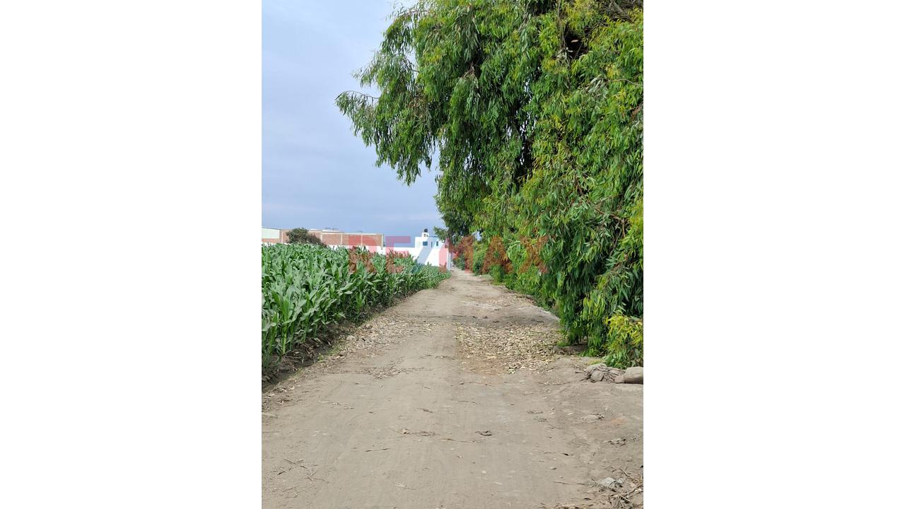 Venta De Terreno Para Inversionistas En Barranca - 10