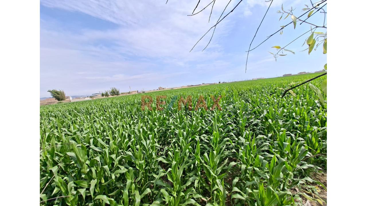 Venta De Terreno Para Inversionistas En Barranca - 5