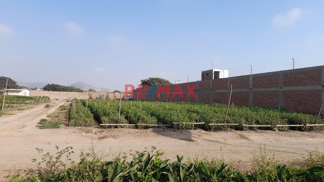 Venta De Terreno En Pachacamac