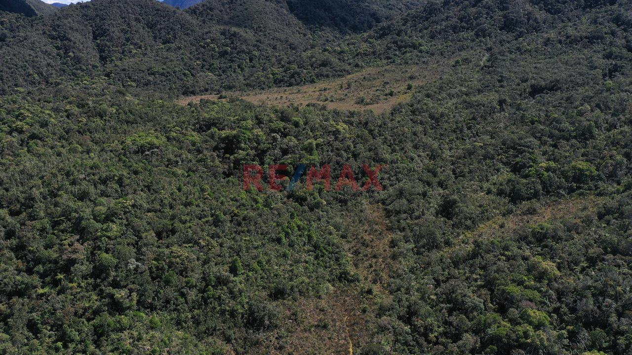Terreno A La Venta En Oxapampa - 4