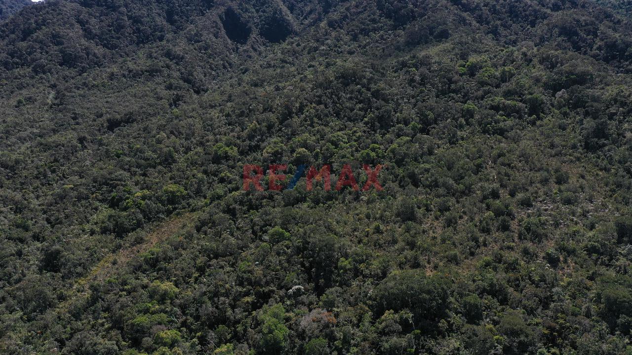Terreno A La Venta En Oxapampa - 2