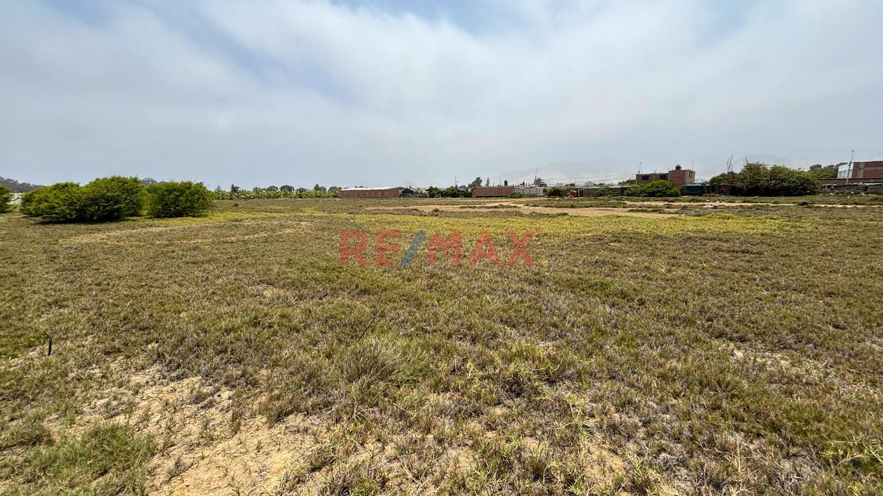 Terreno Estratégico De 20,000 M² (2 Hectáreas) Oportunidad De Inversión En Bujamas Imperdible - 5