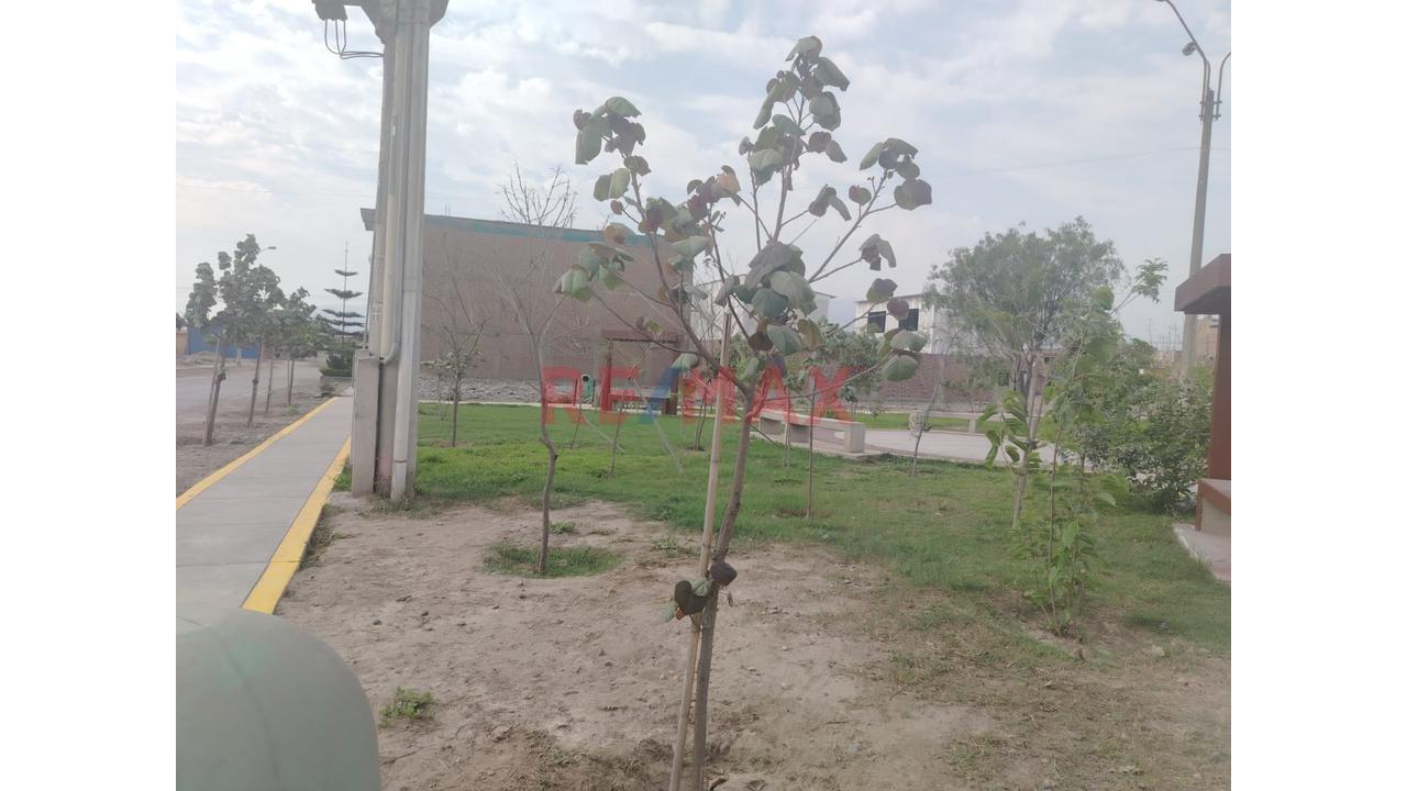 Venta De Terreno De 114 M2 En Urbanización La Rinconada De Carabayllo — foto 5