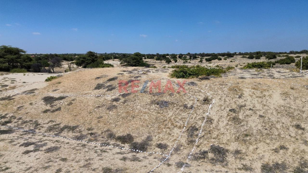 📍🌄 Se Vende Proyecto Lotizado | 📐1 Ha – Caserío El Molino, Piura | 32 Lotes De 200 M² | 🔰Escritura En Registros Públicos | A 15 Min De Piura | Ideal Casas De Campo 🏡✅ - 5