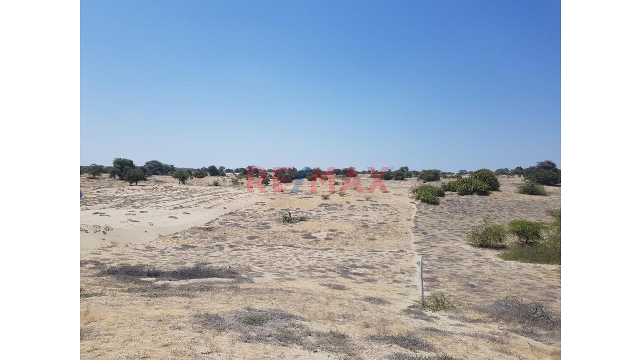 📍🌄 Se Vende Proyecto Lotizado | 📐1 Ha – Caserío El Molino, Piura | 32 Lotes De 200 M² | 🔰Escritura En Registros Públicos | A 15 Min De Piura | Ideal Casas De Campo 🏡✅ - 10