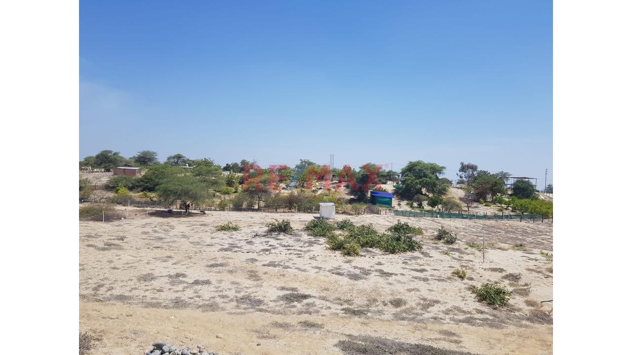 📍🌄 Se Vende Proyecto Lotizado | 📐1 Ha – Caserío El Molino, Piura | 32 Lotes De 200 M² | 🔰Escritura En Registros Públicos | A 15 Min De Piura | Ideal Casas De Campo 🏡✅ - 6