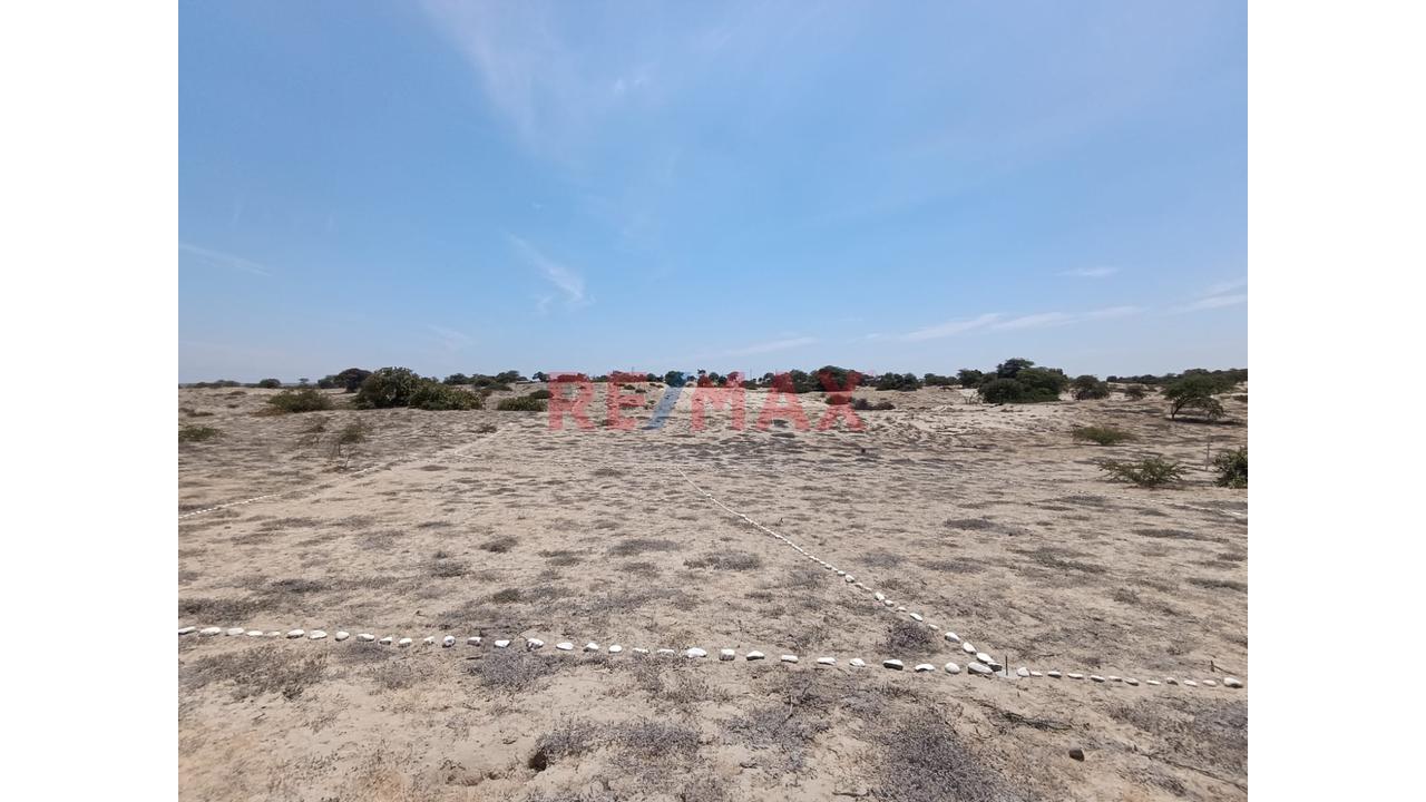 📍🌄 Se Vende Proyecto Lotizado | 📐1 Ha – Caserío El Molino, Piura | 32 Lotes De 200 M² | 🔰Escritura En Registros Públicos | A 15 Min De Piura | Ideal Casas De Campo 🏡✅ - 7