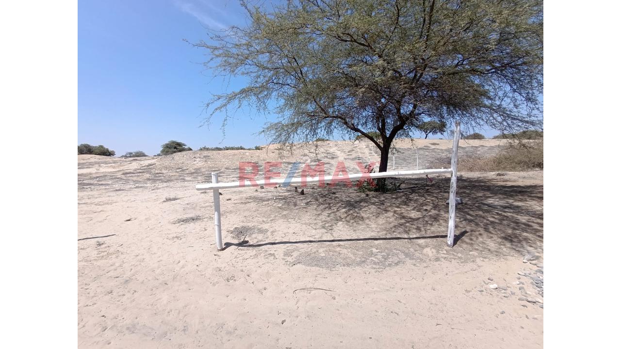 📍🌄 Se Vende Proyecto Lotizado | 📐1 Ha – Caserío El Molino, Piura | 32 Lotes De 200 M² | 🔰Escritura En Registros Públicos | A 15 Min De Piura | Ideal Casas De Campo 🏡✅ - 4