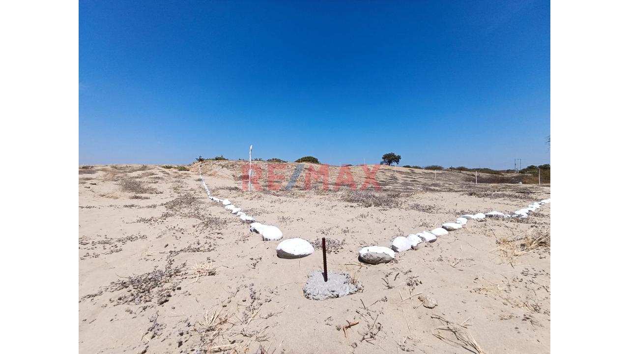 📍🌄 Se Vende Proyecto Lotizado | 📐1 Ha – Caserío El Molino, Piura | 32 Lotes De 200 M² | 🔰Escritura En Registros Públicos | A 15 Min De Piura | Ideal Casas De Campo 🏡✅ - 9