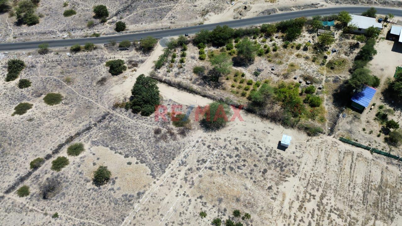 📍🌄 Se Vende Proyecto Lotizado | 📐1 Ha – Caserío El Molino, Piura | 32 Lotes De 200 M² | 🔰Escritura En Registros Públicos | A 15 Min De Piura | Ideal Casas De Campo 🏡✅ - 13