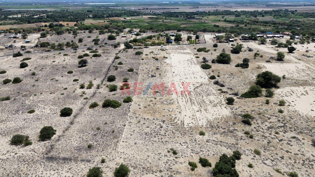 📍🌄 Se Vende Proyecto Lotizado | 📐1 Ha – Caserío El Molino, Piura | 32 Lotes De 200 M² | 🔰Escritura En Registros Públicos | A 15 Min De Piura | Ideal Casas De Campo 🏡✅ - 14