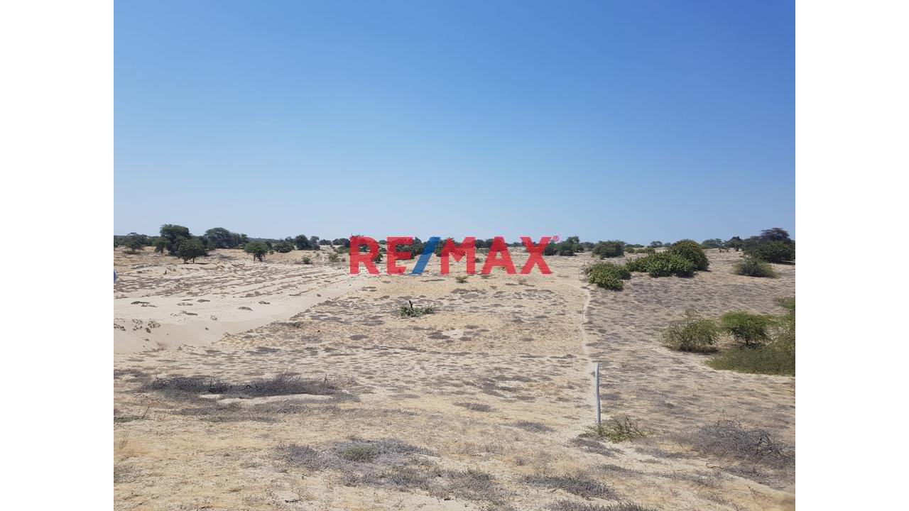 📍🌄 Se Vende Proyecto Lotizado | 📐1 Ha – Caserío El Molino, Piura | 32 Lotes De 200 M² | 🔰Escritura En Registros Públicos | A 15 Min De Piura | Ideal Casas De Campo 🏡✅ - 1