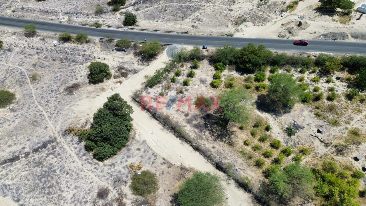 📍🌄 Se Vende Proyecto Lotizado | 📐1 Ha – Caserío El Molino, Piura | 32 Lotes De 200 M² | 🔰Escritura En Registros Públicos | A 15 Min De Piura | Ideal Casas De Campo 🏡✅ - 12