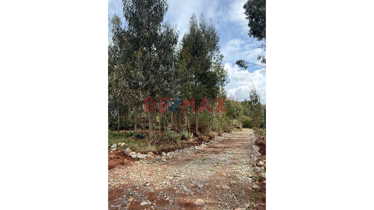 📢 Venta De Lotes Con Ingreso Privado – Tikapata, Cusco 🌿 - 5