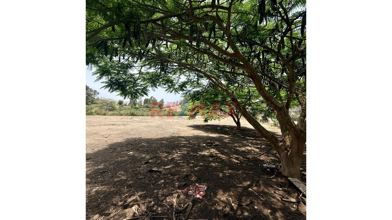 ¡Construye Tu Refugio Soñado En Fundo San Fernando, Pachacámac! 🌿✨