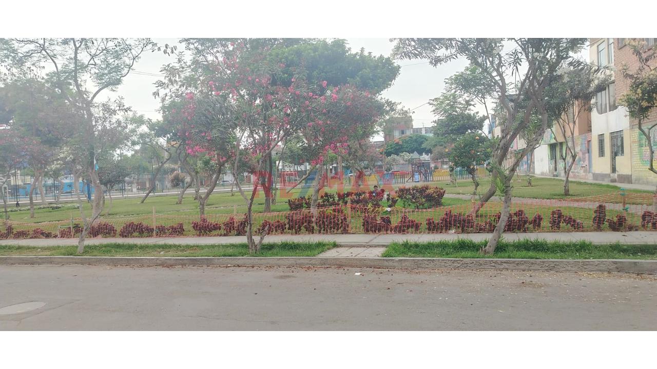 🏡🌳🚖"Venta De Casa De 2 Pisos En Los Olivos - Villa Sol Con Local, Cochera E Ingreso Independiente" 🍀📦🥰 — foto 13