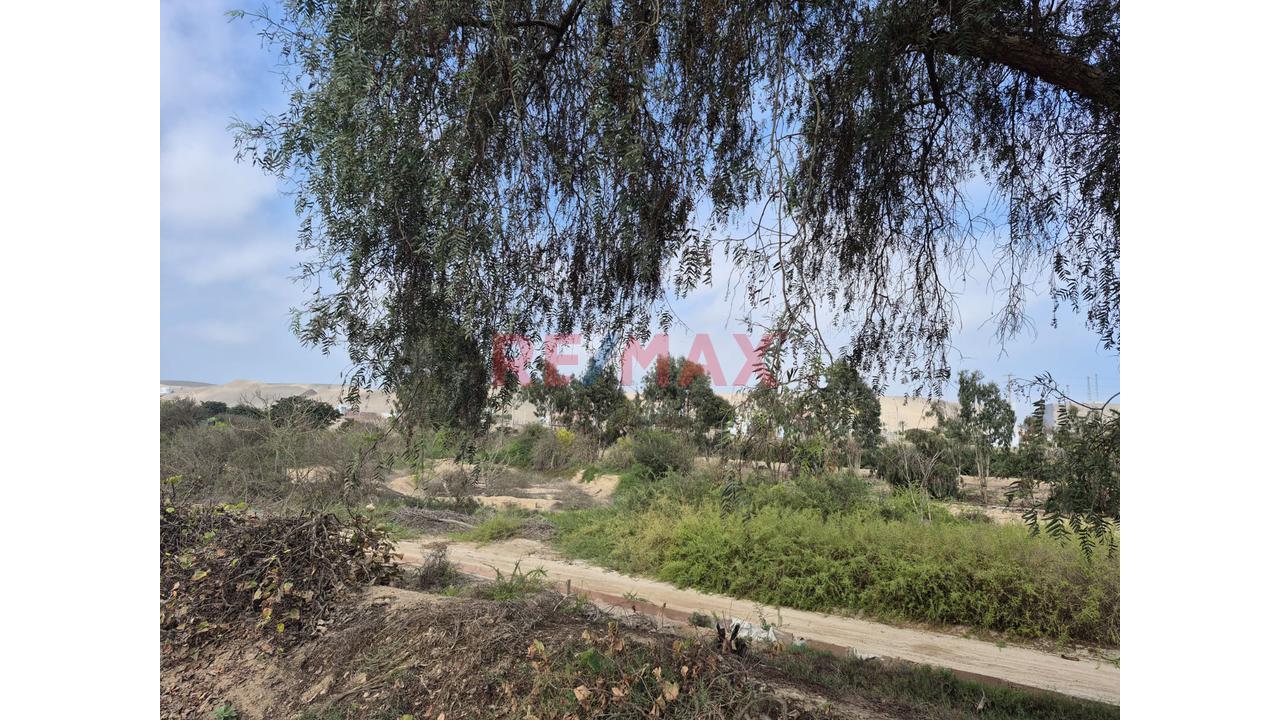 Estratégico Terreno De 3,080 M² En Asia: El Próximo Gran Proyecto Del Sur - 5