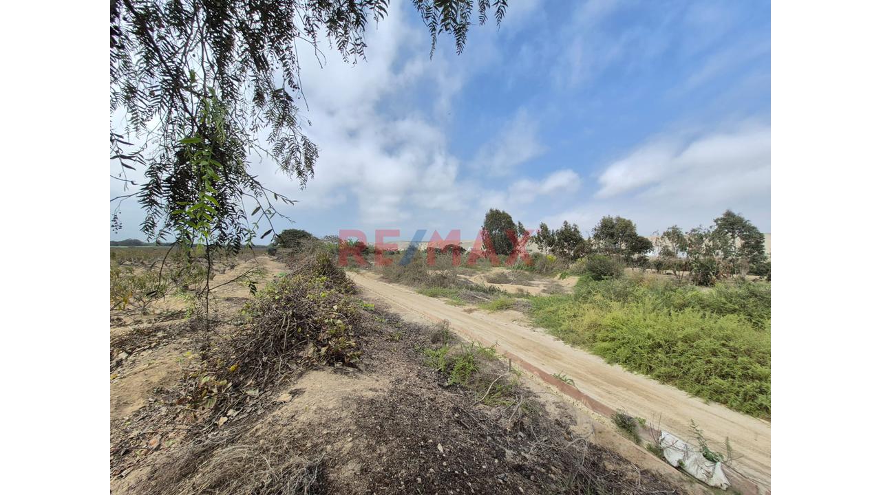 Estratégico Terreno De 3,080 M² En Asia: El Próximo Gran Proyecto Del Sur - 3