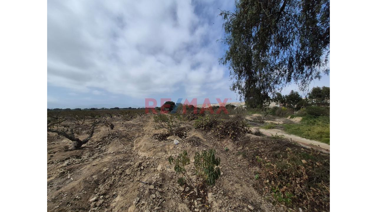 Estratégico Terreno De 3,080 M² En Asia: El Próximo Gran Proyecto Del Sur - 4