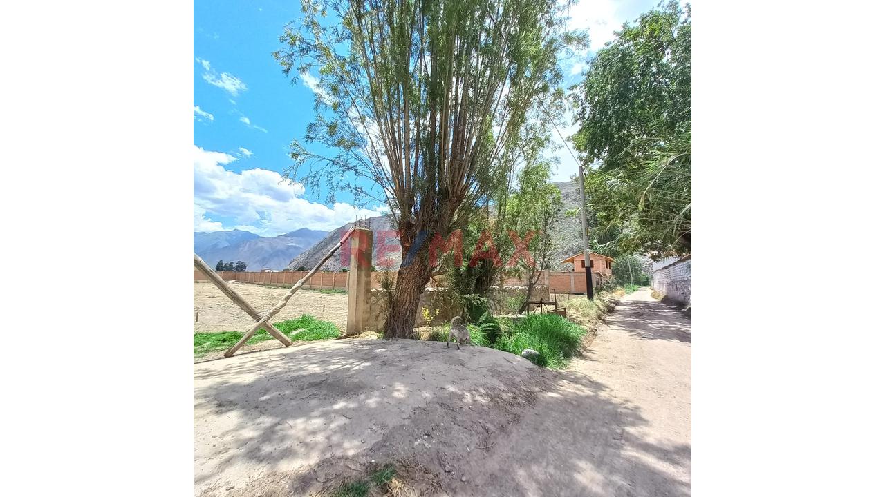 🌿 Terreno En Venta – Yucay, Valle Sagrado (Cusco) - 4