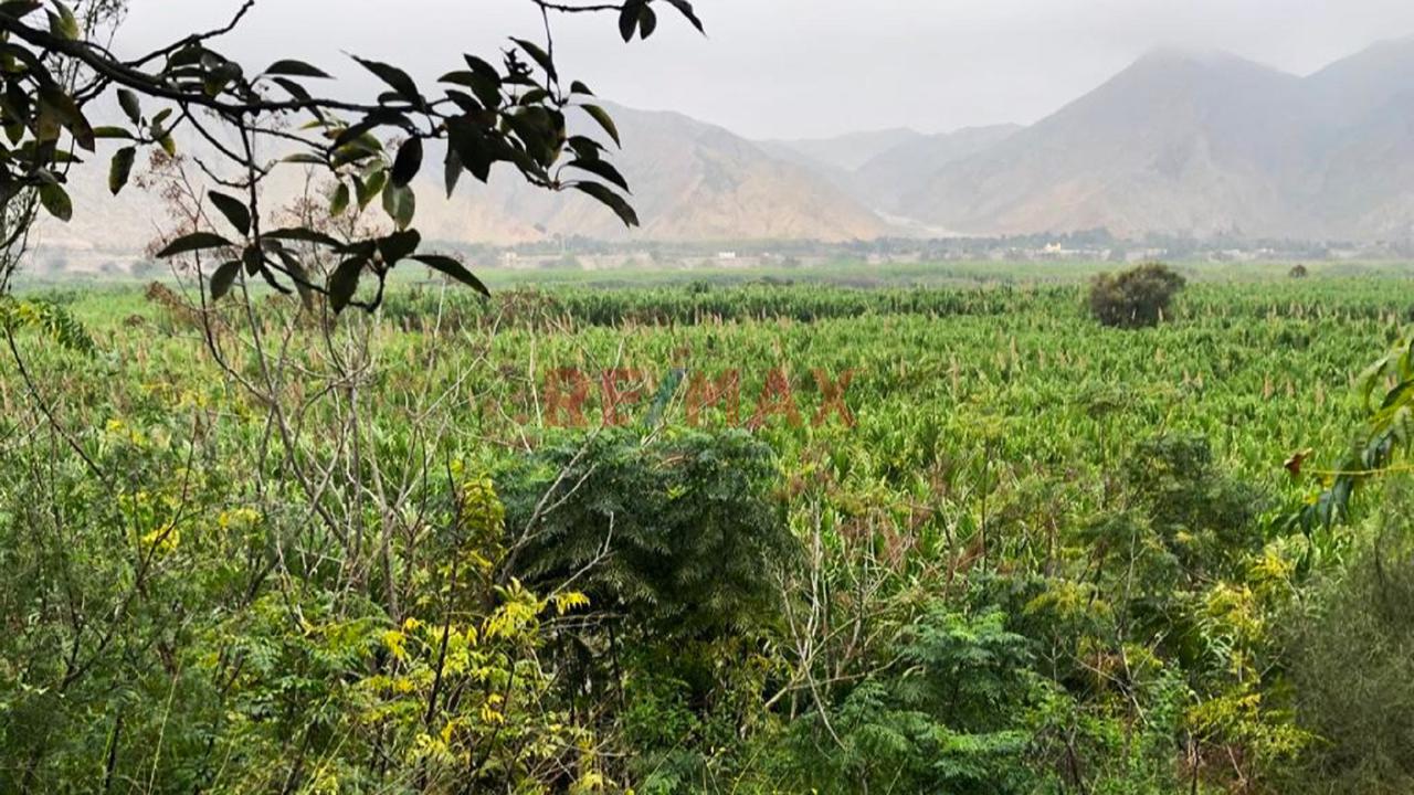 Venta De Terreno Lunahuana - 11