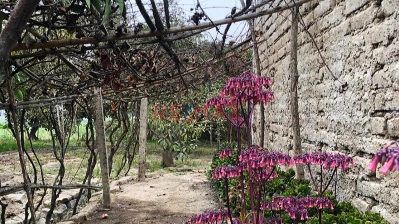 Venta De Terreno Lunahuana - 10