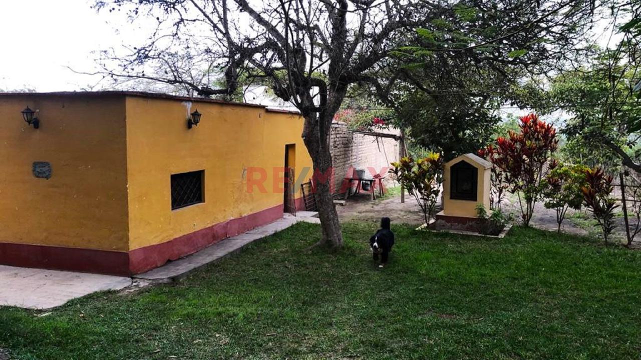 Venta De Terreno Lunahuana - 3