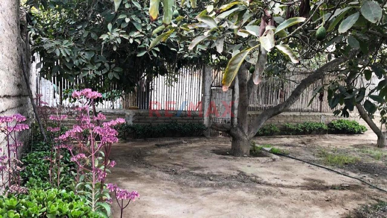 Venta De Terreno Lunahuana - 12