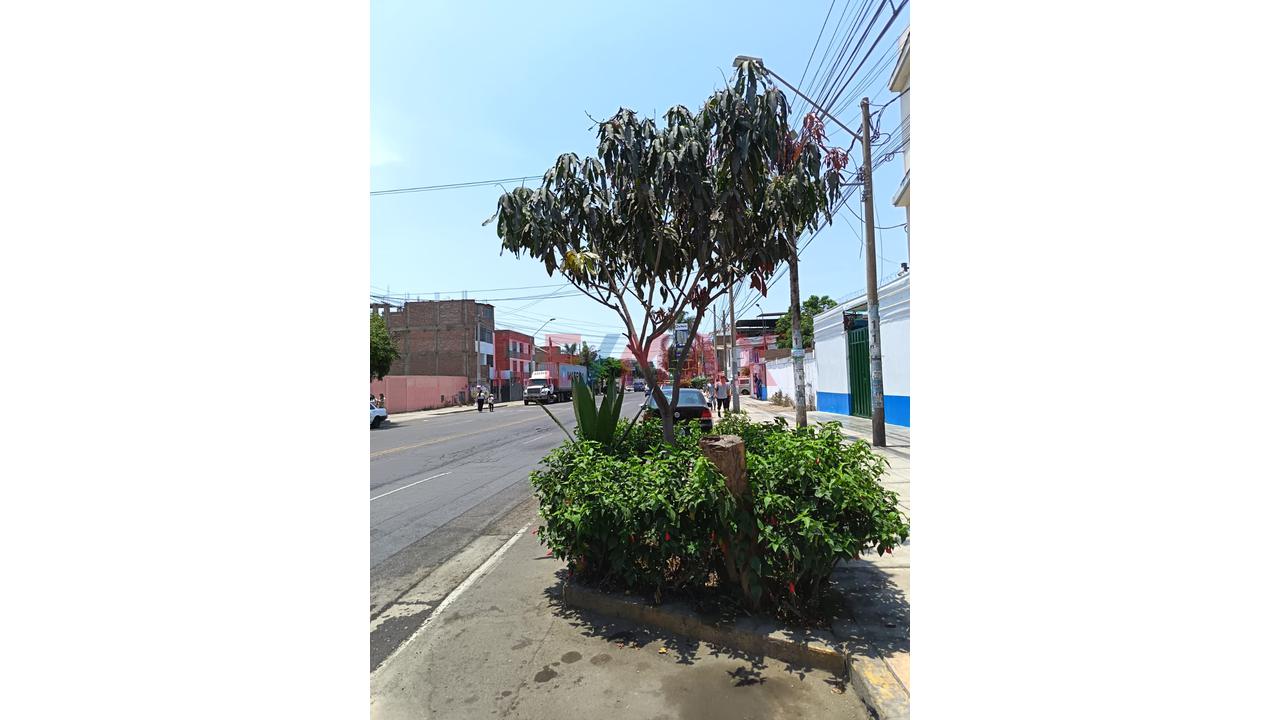 Se Vende Multifamiliar De 3 Pisos En Av. Los Faisanes-Chorrillos - 4
