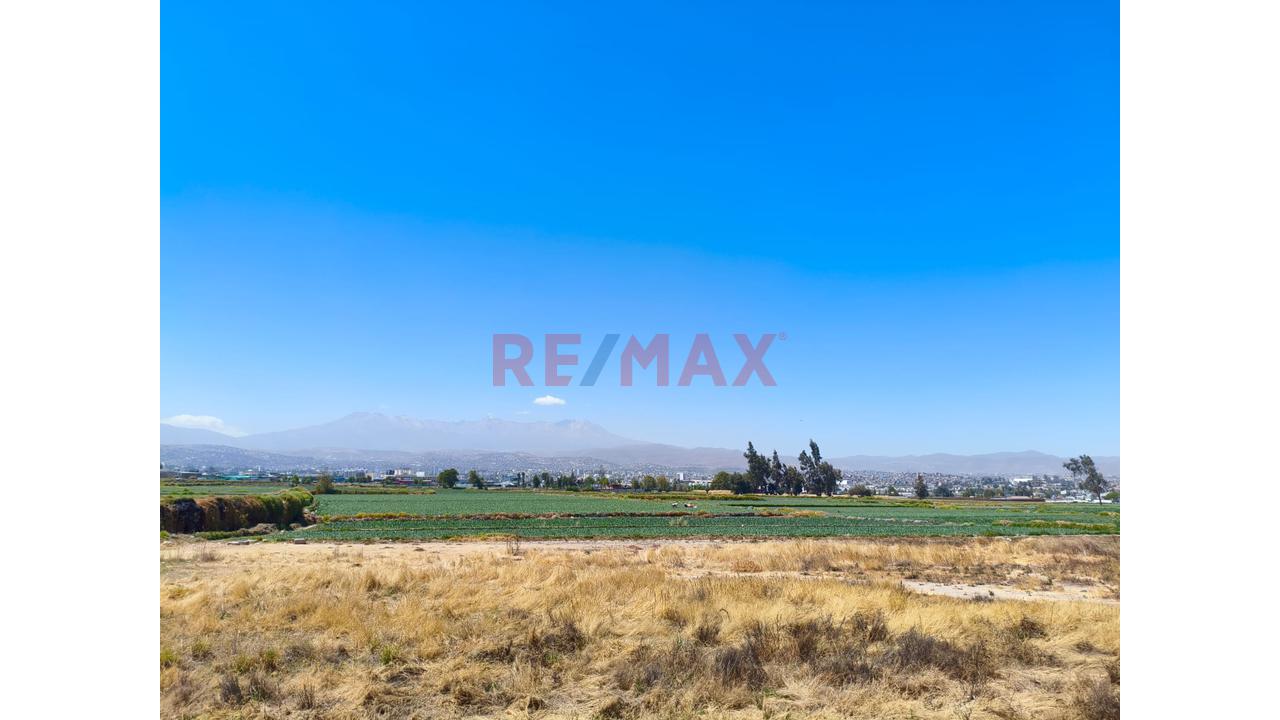 Local Comercial Flexible De Estructura Metálica En Sachaca - Pampa De Camarones - 8